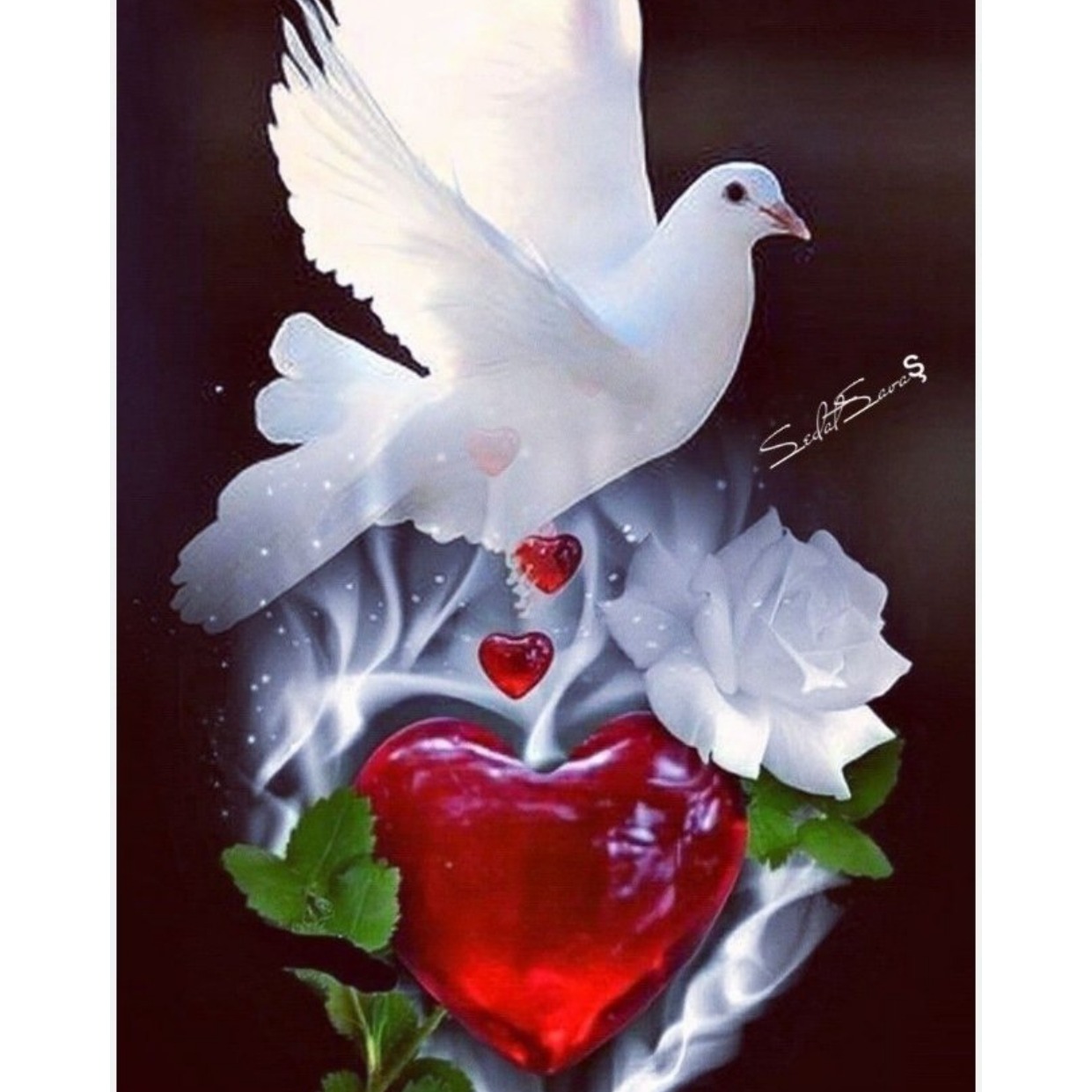 Photo de Yvonne Roberte Blanche BARBOT