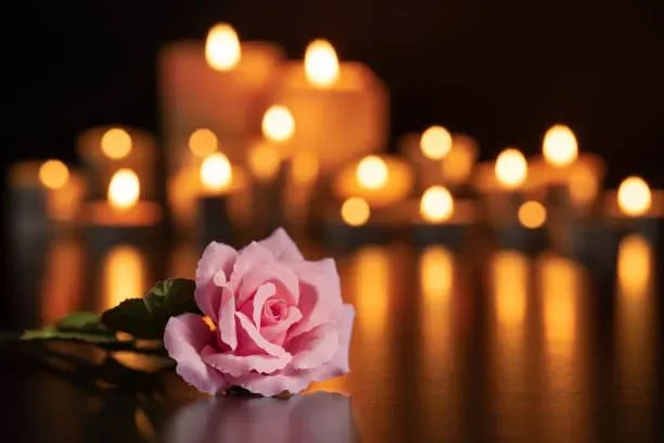 Une rose rose posée au premier plan devant un ensemble de bougies allumées.